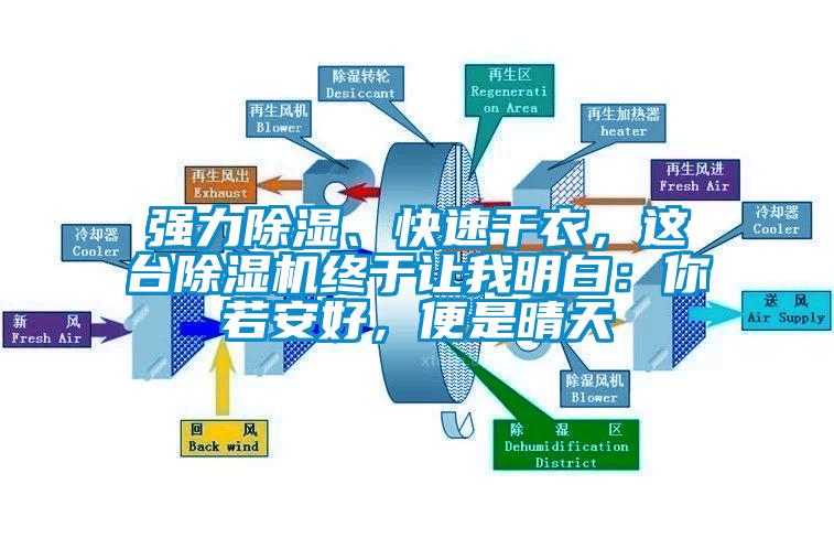 強力除濕、快速干衣，這臺除濕機終于讓我明白：你若安好，便是晴天