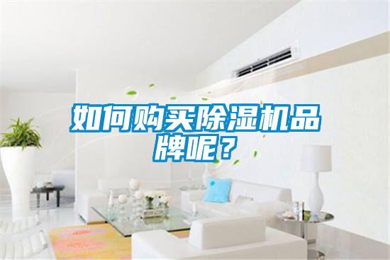 如何購買除濕機品牌呢？