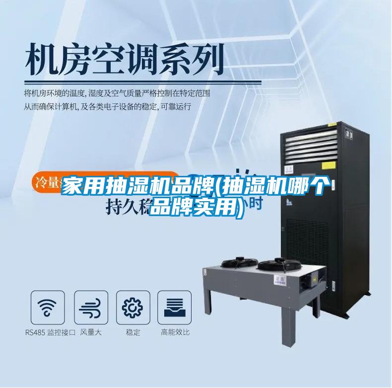 家用抽濕機(jī)品牌(抽濕機(jī)哪個品牌實(shí)用)