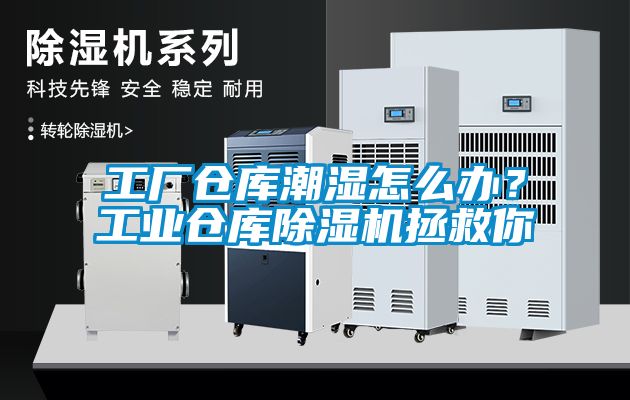 工廠倉(cāng)庫(kù)潮濕怎么辦？工業(yè)倉(cāng)庫(kù)除濕機(jī)拯救你