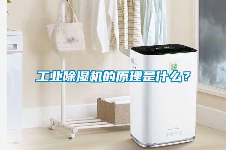 工業(yè)除濕機(jī)的原理是什么？