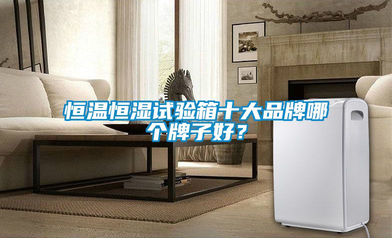 恒溫恒濕試驗(yàn)箱十大品牌哪個(gè)牌子好？