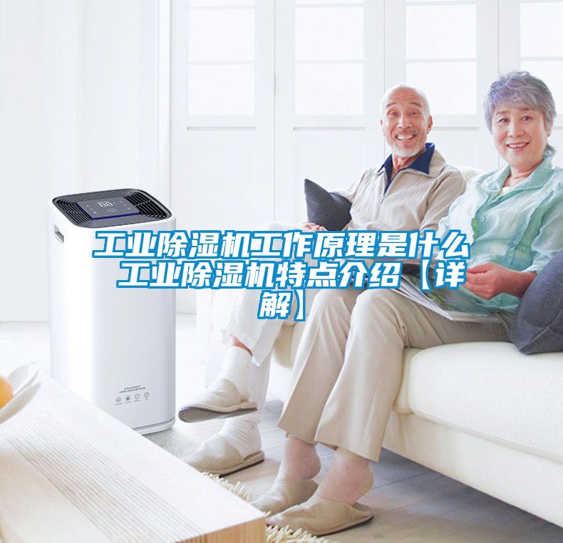 工業(yè)除濕機(jī)工作原理是什么 工業(yè)除濕機(jī)特點介紹【詳解】