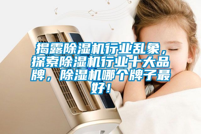 揭露除濕機(jī)行業(yè)亂象，探索除濕機(jī)行業(yè)十大品牌，除濕機(jī)哪個(gè)牌子最好！