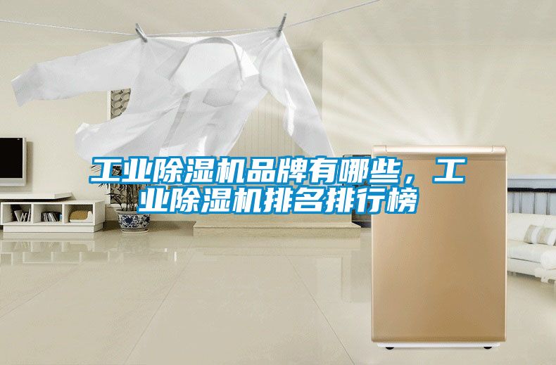 工業(yè)除濕機(jī)品牌有哪些，工業(yè)除濕機(jī)排名排行榜