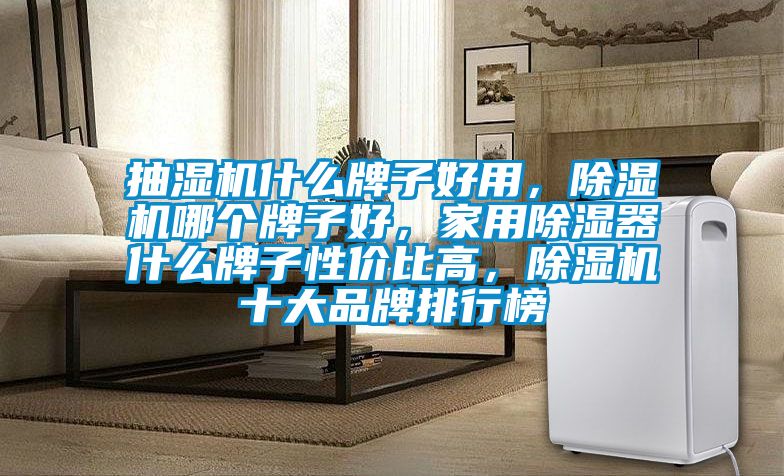 抽濕機(jī)什么牌子好用，除濕機(jī)哪個(gè)牌子好，家用除濕器什么牌子性價(jià)比高，除濕機(jī)十大品牌排行榜