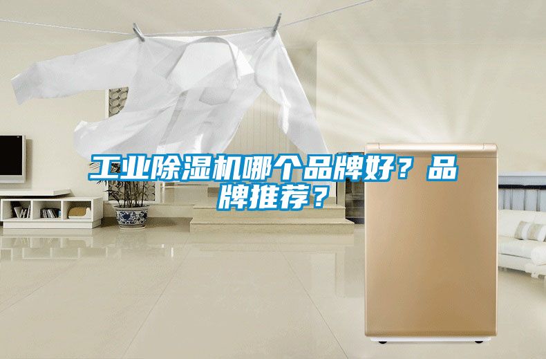 工業(yè)除濕機哪個品牌好？品牌推薦？