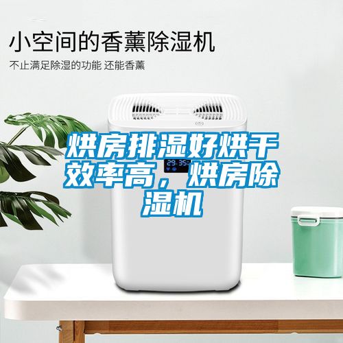 烘房排濕好烘干效率高，烘房除濕機(jī)