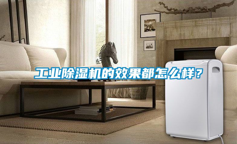工業(yè)除濕機(jī)的效果都怎么樣？