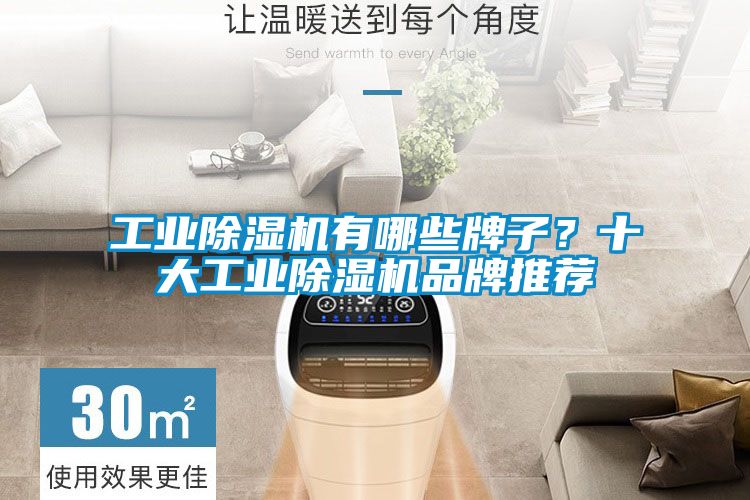 工業(yè)除濕機有哪些牌子？十大工業(yè)除濕機品牌推薦
