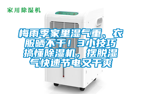 梅雨季家里濕氣重、衣服曬不干！3小技巧搞懂除濕機(jī)，擺脫濕氣快速節(jié)電又干爽