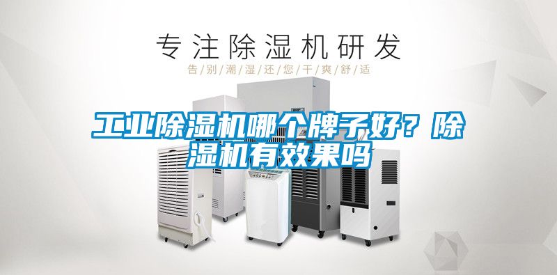 工業(yè)除濕機(jī)哪個牌子好？除濕機(jī)有效果嗎