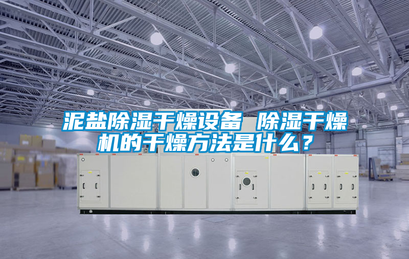 泥鹽除濕干燥設(shè)備 除濕干燥機(jī)的干燥方法是什么？