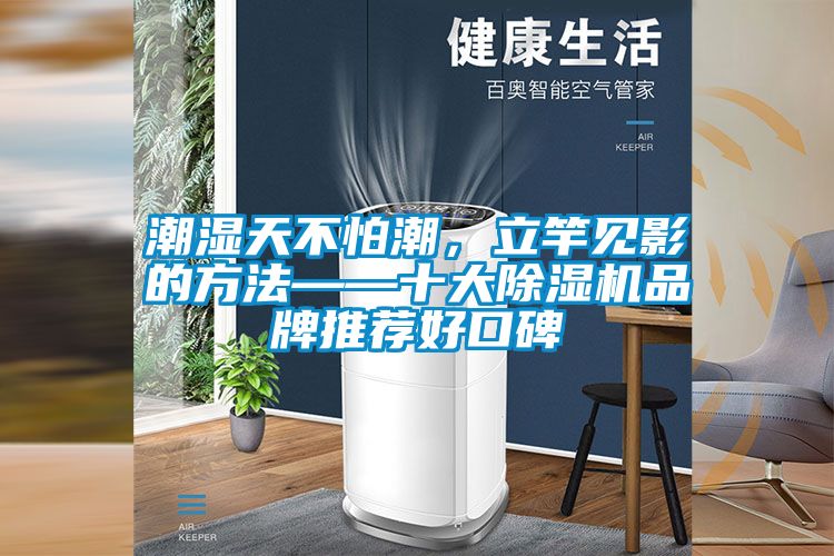 潮濕天不怕潮，立竿見影的方法——十大除濕機品牌推薦好口碑