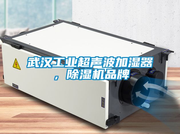 武漢工業(yè)超聲波加濕器，除濕機品牌