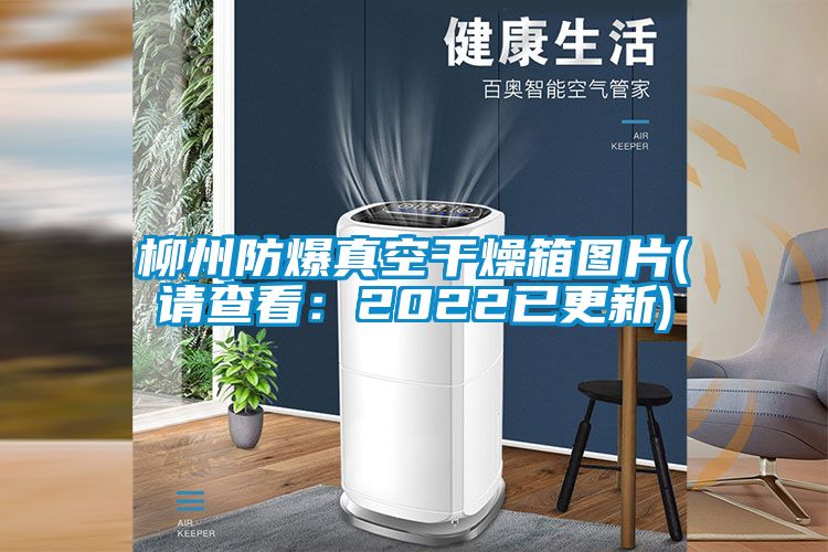 柳州防爆真空干燥箱圖片(請查看：2022已更新)
