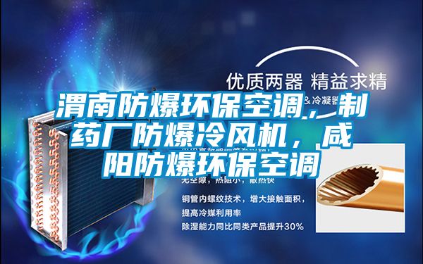 渭南防爆環(huán)?？照{(diào)，制藥廠防爆冷風(fēng)機，咸陽防爆環(huán)?？照{(diào)