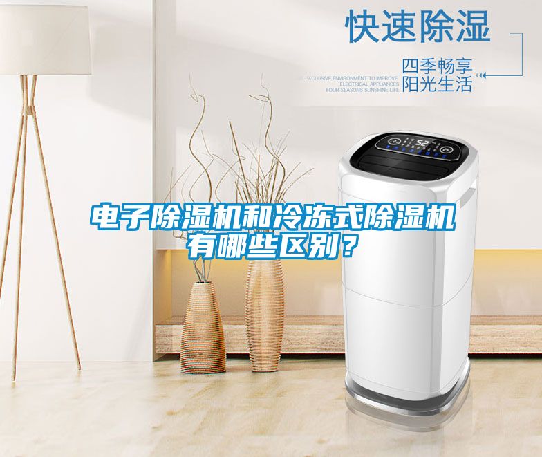 電子除濕機(jī)和冷凍式除濕機(jī)有哪些區(qū)別？