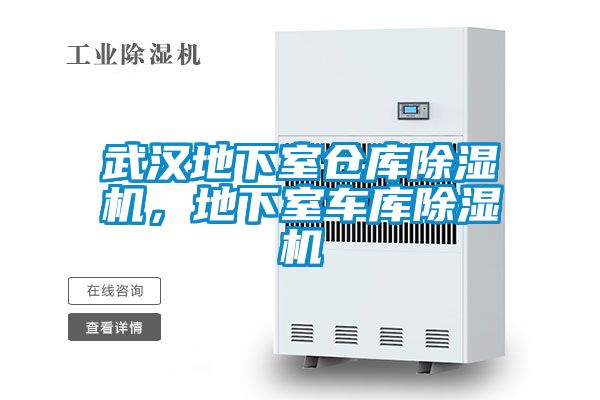 武漢地下室倉(cāng)庫(kù)除濕機(jī)，地下室車庫(kù)除濕機(jī)