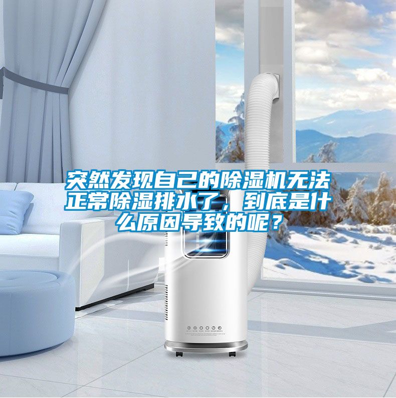 突然發(fā)現(xiàn)自己的除濕機(jī)無法正常除濕排水了，到底是什么原因?qū)е碌哪兀?/></p>
						    <p style=