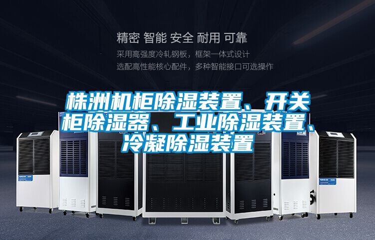株洲機柜除濕裝置、開關(guān)柜除濕器、工業(yè)除濕裝置、冷凝除濕裝置