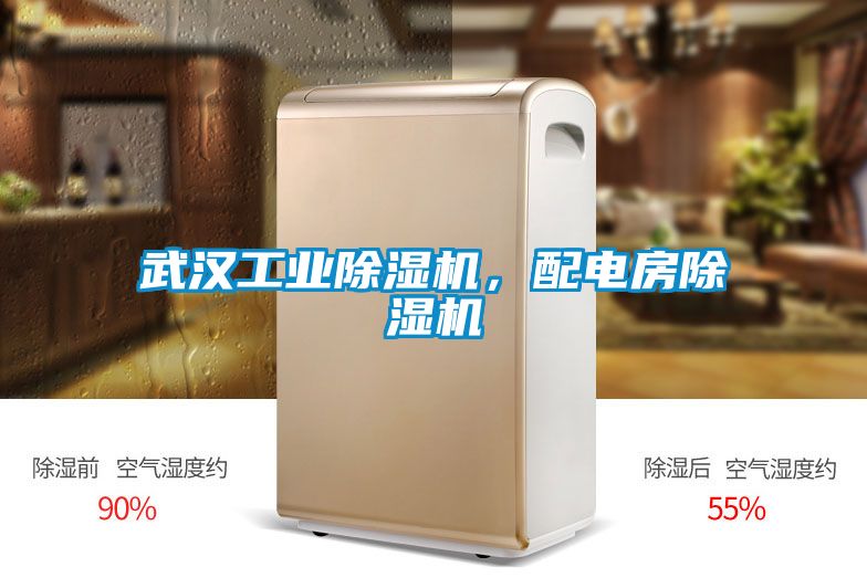 武漢工業(yè)除濕機(jī)，配電房除濕機(jī)