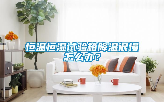 恒溫恒濕試驗(yàn)箱降溫很慢怎么辦？