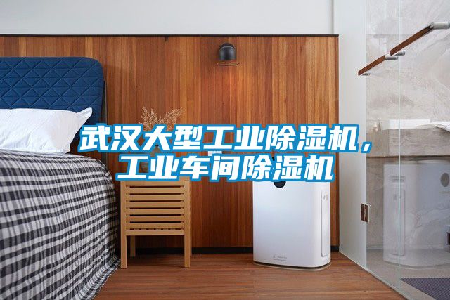 武漢大型工業(yè)除濕機(jī)，工業(yè)車間除濕機(jī)