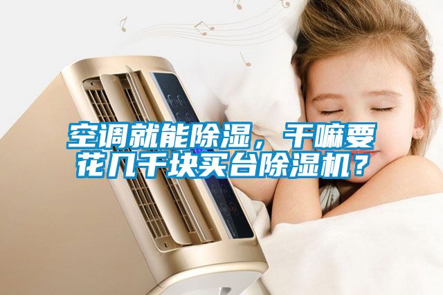 空調就能除濕，干嘛要花幾千塊買臺除濕機？