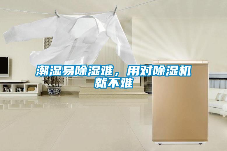 潮濕易除濕難，用對除濕機就不難