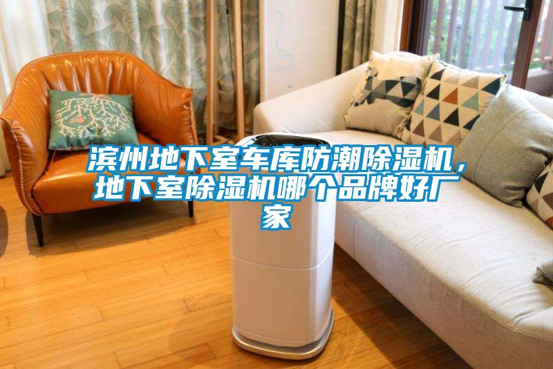 濱州地下室車庫防潮除濕機，地下室除濕機哪個品牌好廠家