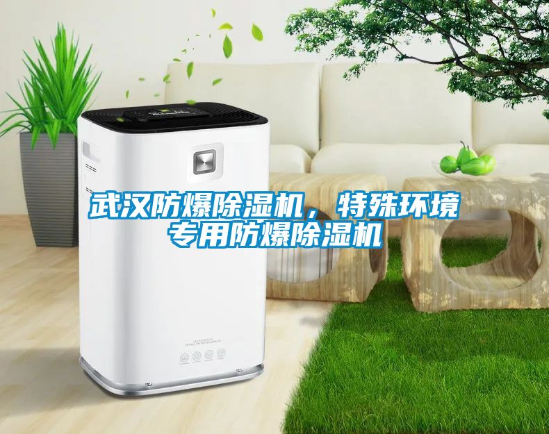 武漢防爆除濕機(jī)，特殊環(huán)境專用防爆除濕機(jī)