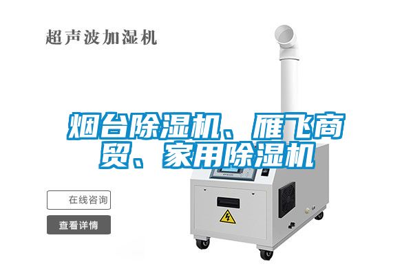 煙臺除濕機、雁飛商貿(mào)、家用除濕機