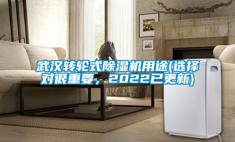 武漢轉(zhuǎn)輪式除濕機(jī)用途(選擇對(duì)很重要，2022已更新)