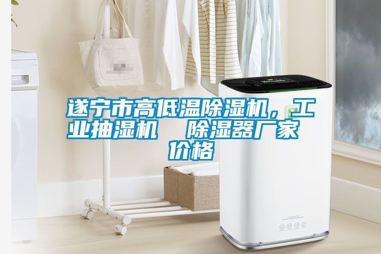 遂寧市高低溫除濕機(jī)，工業(yè)抽濕機(jī)  除濕器廠家 價(jià)格