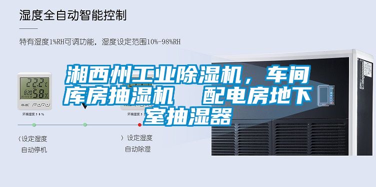 湘西州工業(yè)除濕機(jī)，車(chē)間庫(kù)房抽濕機(jī)  配電房地下室抽濕器