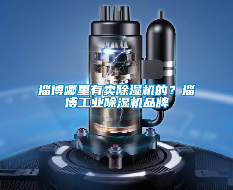 淄博哪里有賣(mài)除濕機(jī)的？淄博工業(yè)除濕機(jī)品牌