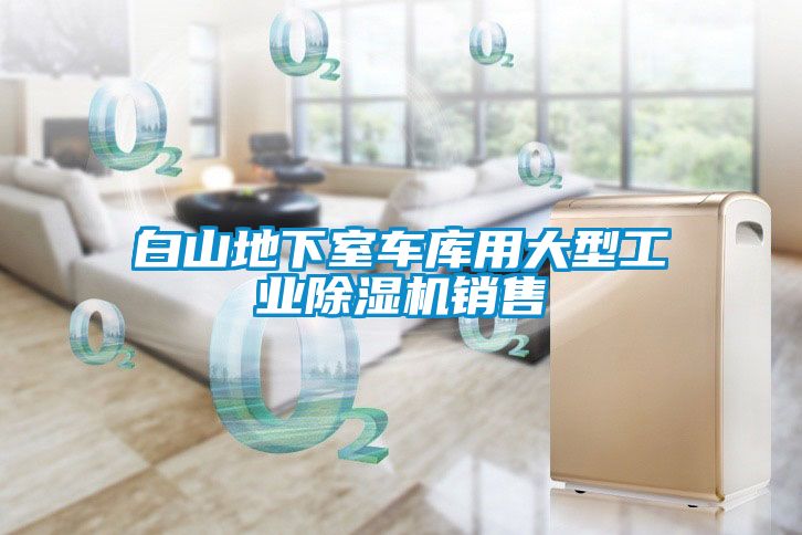 白山地下室車(chē)庫(kù)用大型工業(yè)除濕機(jī)銷(xiāo)售