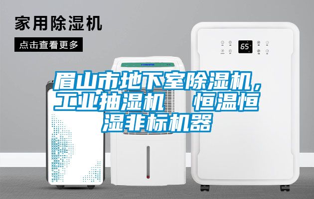 眉山市地下室除濕機(jī)，工業(yè)抽濕機(jī)  恒溫恒濕非標(biāo)機(jī)器