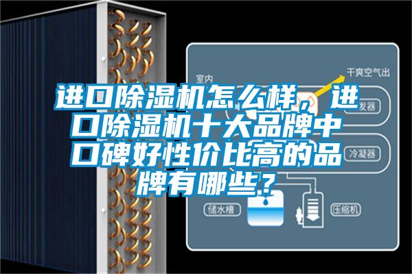 進口除濕機怎么樣，進口除濕機十大品牌中口碑好性價比高的品牌有哪些？