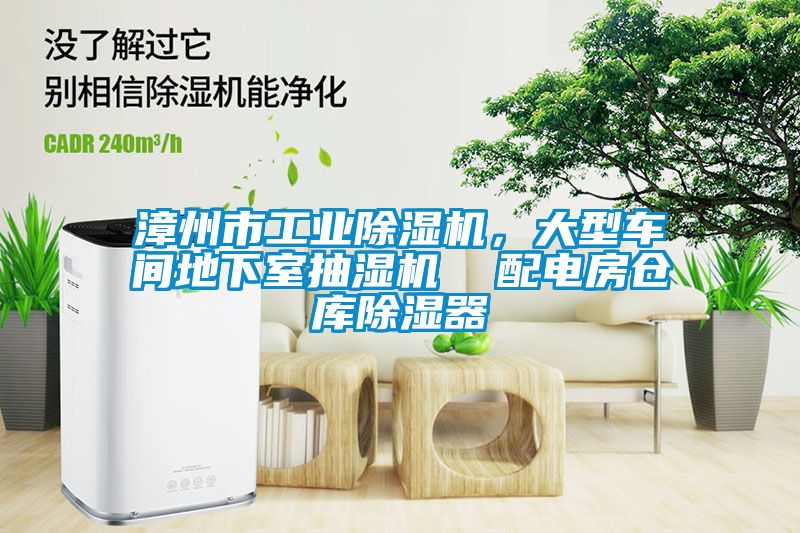 漳州市工業(yè)除濕機，大型車間地下室抽濕機  配電房倉庫除濕器