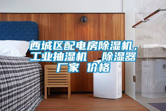西城區(qū)配電房除濕機，工業(yè)抽濕機  除濕器廠家 價格