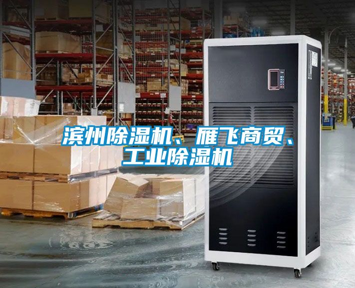 濱州除濕機、雁飛商貿、工業(yè)除濕機