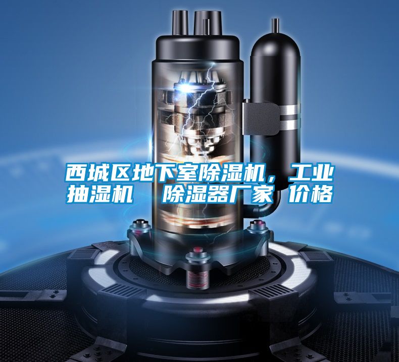 西城區(qū)地下室除濕機，工業(yè)抽濕機  除濕器廠家 價格
