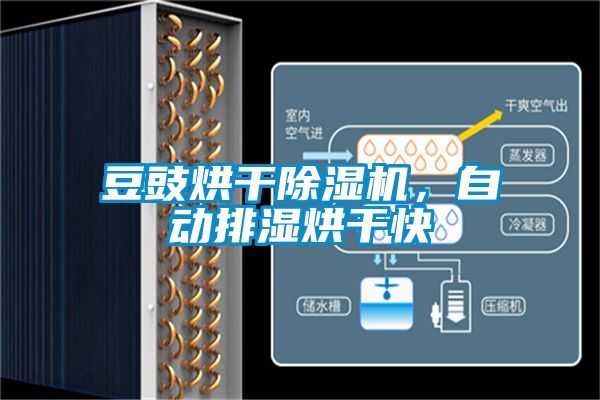 豆豉烘干除濕機(jī)，自動(dòng)排濕烘干快