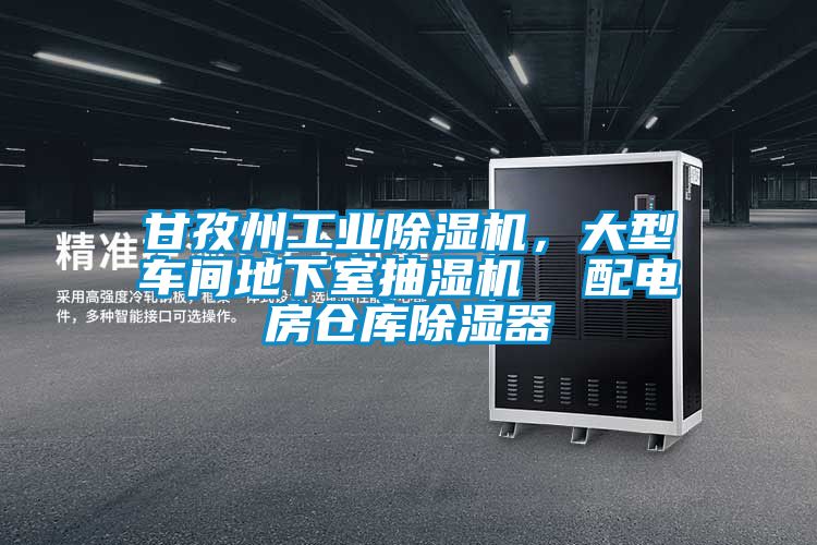 甘孜州工業(yè)除濕機(jī)，大型車間地下室抽濕機(jī)  配電房倉(cāng)庫(kù)除濕器