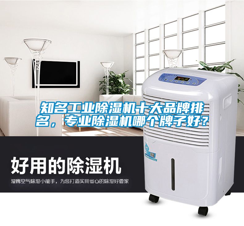 知名工業(yè)除濕機(jī)十大品牌排名，專業(yè)除濕機(jī)哪個牌子好？
