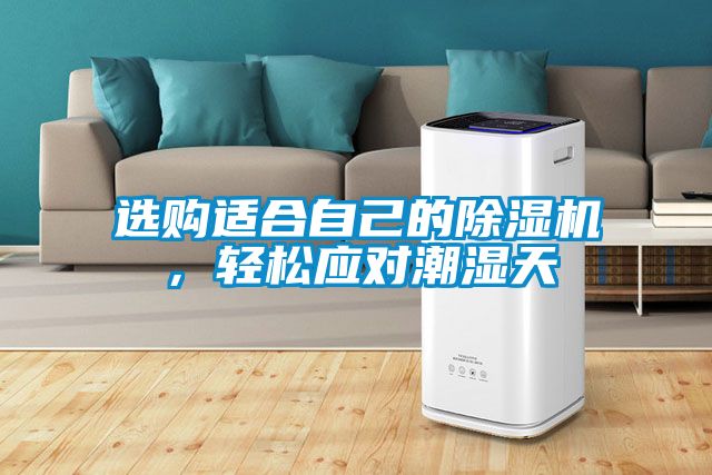 選購適合自己的除濕機，輕松應對潮濕天
