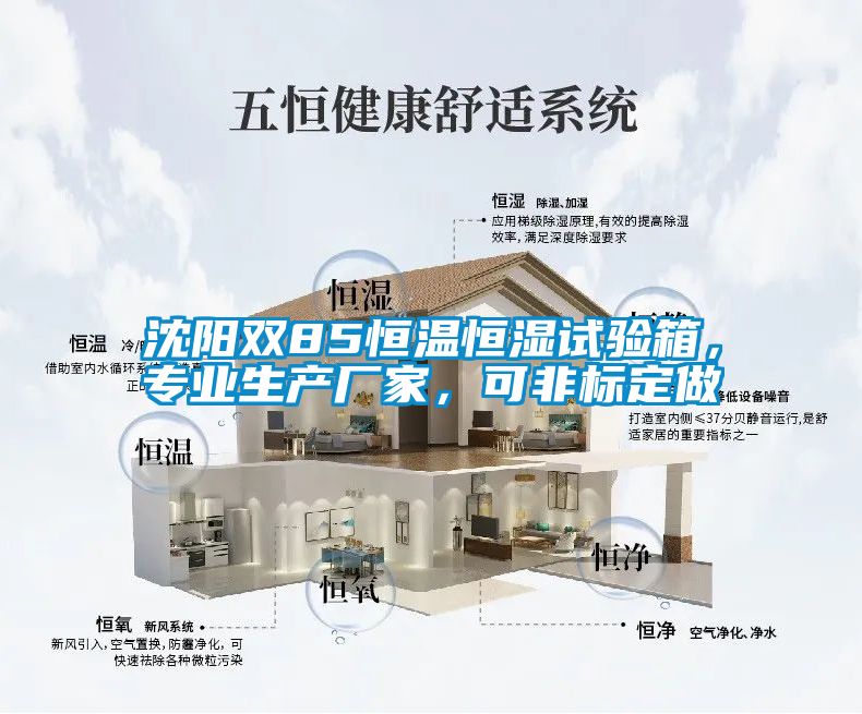 沈陽(yáng)雙85恒溫恒濕試驗(yàn)箱，專(zhuān)業(yè)生產(chǎn)廠(chǎng)家，可非標(biāo)定做
