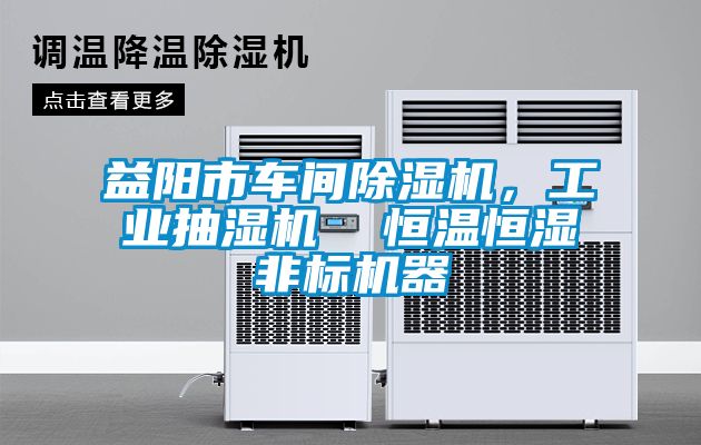 益陽(yáng)市車(chē)間除濕機(jī)，工業(yè)抽濕機(jī)  恒溫恒濕非標(biāo)機(jī)器